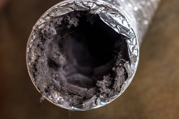 Best Affordable Air Duct Cleaning  in Strathmore, CA